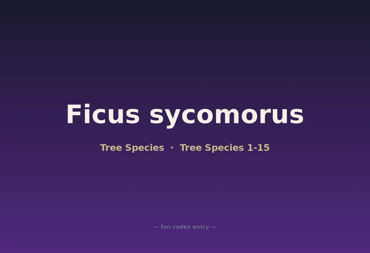 Ficus sycomorus